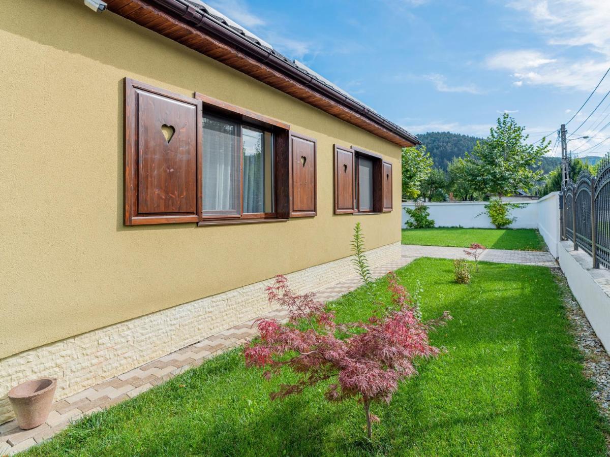 Casa Saraste Hotel Risnov Bagian luar foto